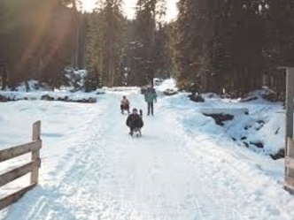 Rodelhänge am Hohenpeißenberg