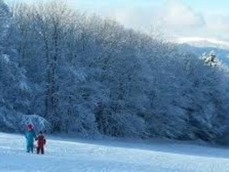 Rodelhang Binselberg (Nähe Kloster)