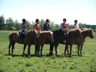 Islandpferde-Ferienhof-Lechtal