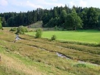 Ettinger Bach