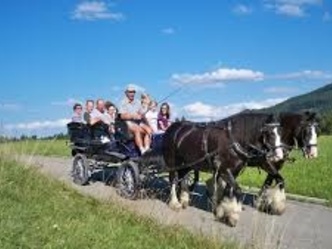 Kutschfahrten Ingenried