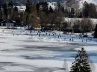 Natureisbahn am Schwaigsee
