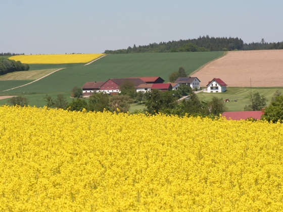 Höckhof