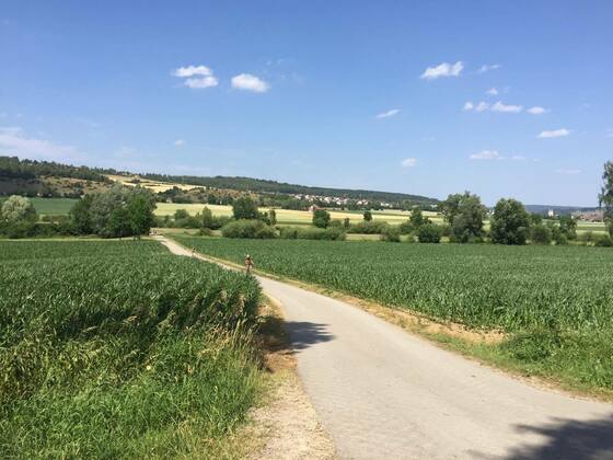 Landscape