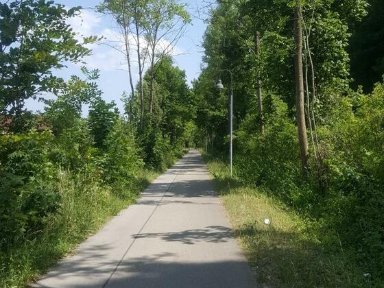 The route