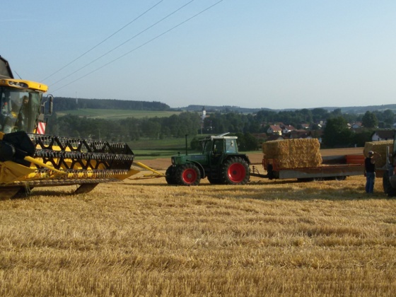 Blick ins Isental