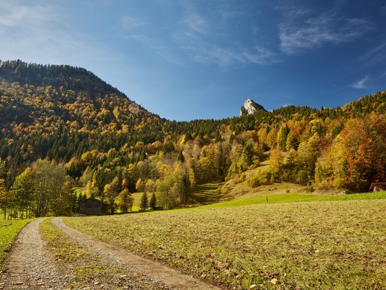 Leonhardstein