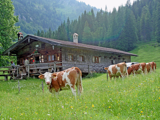 Bayralm bei Kreuth