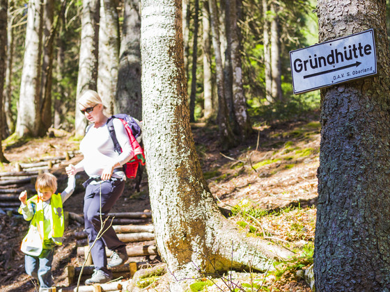 Zustieg zur Gründhütte