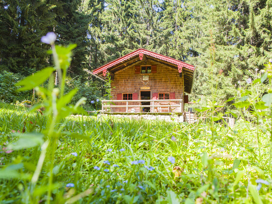 Blankensteinhütte I