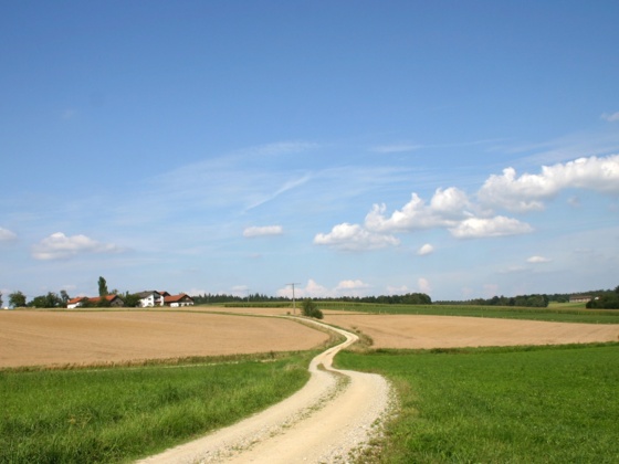 Bei Sulzbach.
