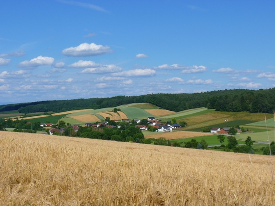 Blick ins Sulzbachtal bei Johanniskirchen