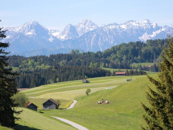Einzigartiges Alpenpanorama