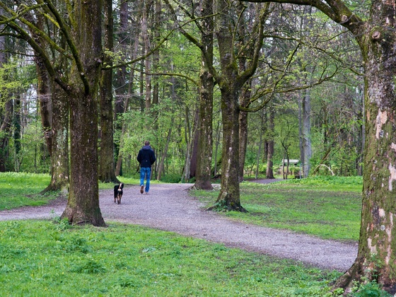 Blick in die Au Weilheim
