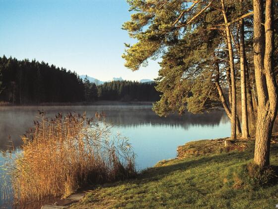 Schmutterweiher