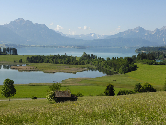 Panorama während der Tour: Der Forggensee bei Füssen
