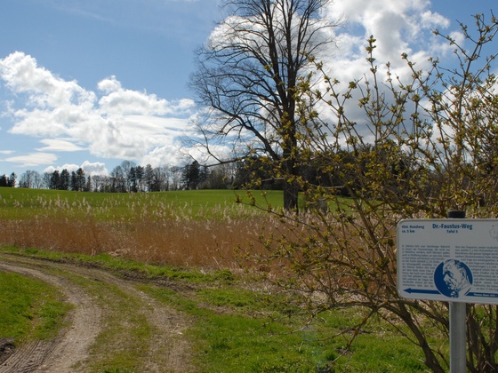Doktor-Faustus-Weg in Polling