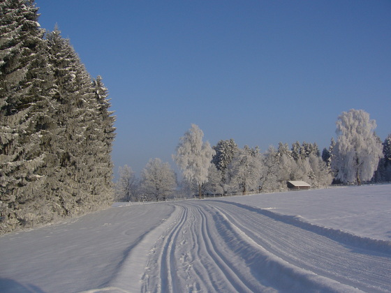 Bergwiesenrunde