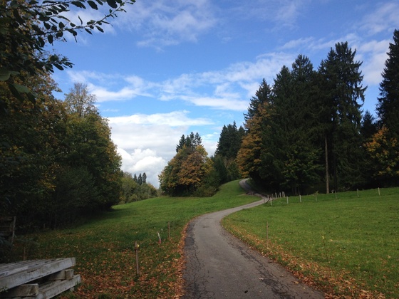 Path