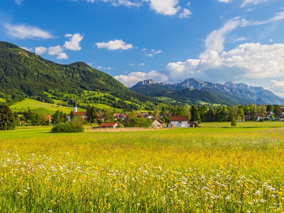 Trauchgau