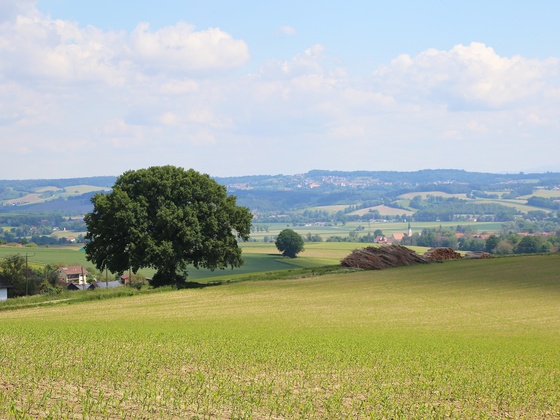 Ausblick auf der Tour