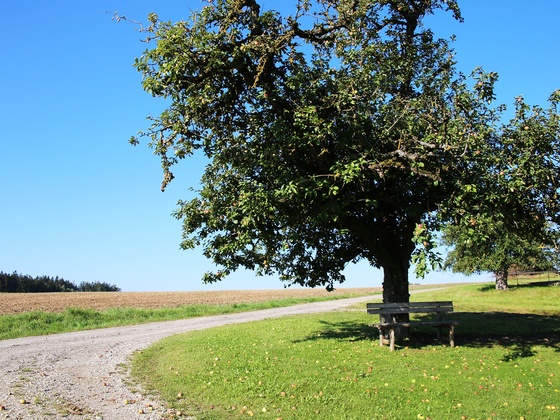 Ausblick auf der Tour