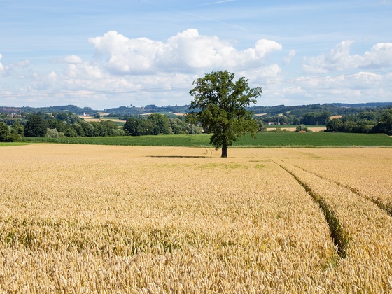 Ausschnitt auf der Tour