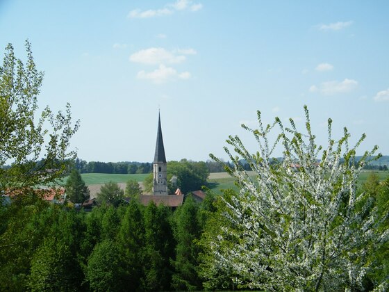 Blick auf die Wallfahrtskirche St. Alban in Taubenbach