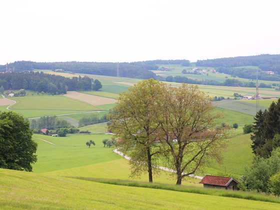 Ausblick auf der Tour