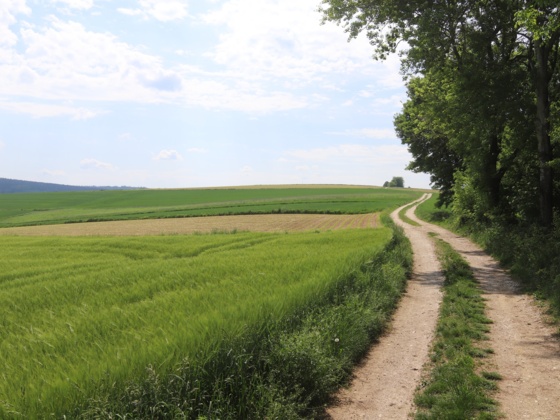 Wanderung in der Landschaft um Kößlarn