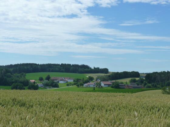 Blick auf Neukirchen