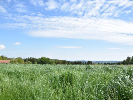 Landschaftliche Ausblicke in Fürstberg