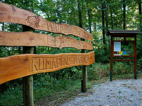 Beginn des Klimapfades