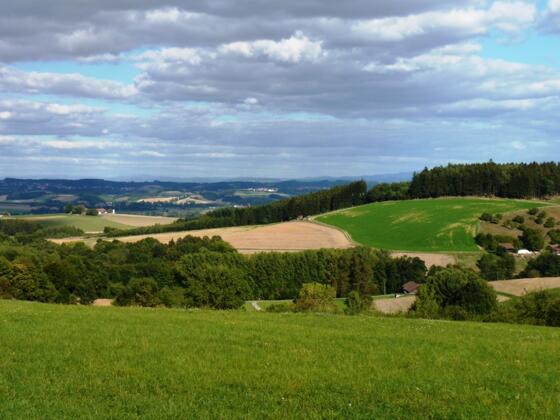 Ausblick von Steinberg