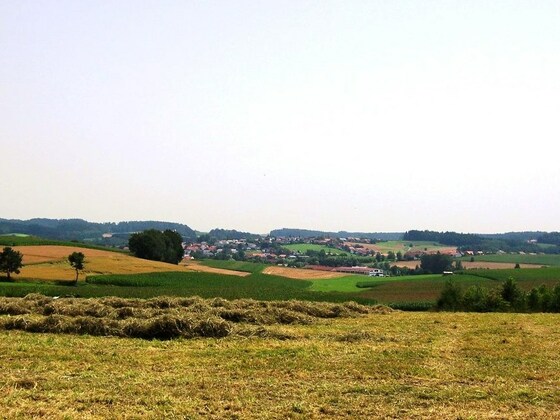 Bei Sauersberg