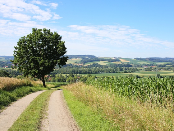 Ausblick auf der Tour