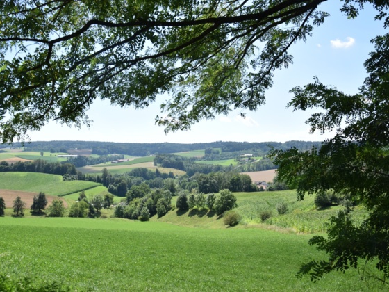 Landschaft Ering Tour 13