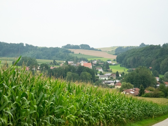 Landschaft mit Blick auf die Kirche in Münchham