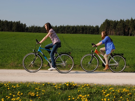 Radeln im Lorenzer Reichswald