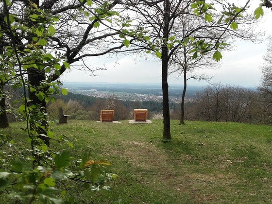 Bänke am Poesieweg