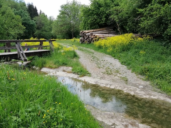 Im Steinbachtal