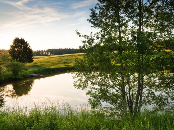 Weiher nahe Feuchtwangen