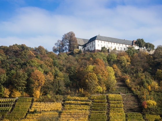 Etappe 5 von Klingenberg nach Großheubach