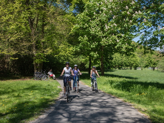 Radeln bei Wertheim