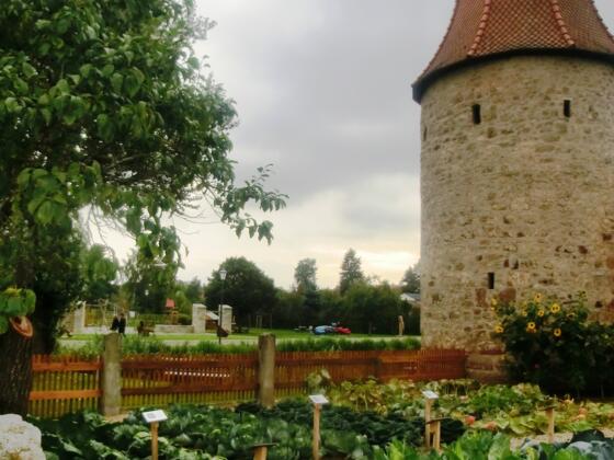 Krautgarten mit Turm