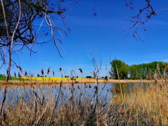 Lindleinsee