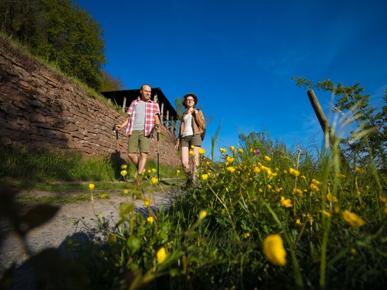 Etappe 6 von Großheubach nach Bürgstadt