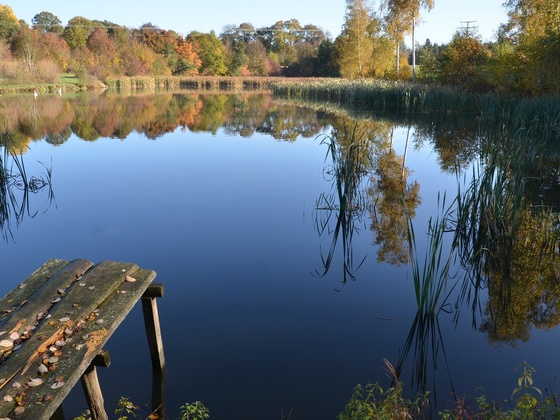 Weiher bei Dinkelsbühl