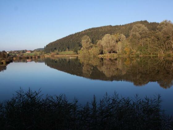 Der idyllische Herrenwieser Weiher