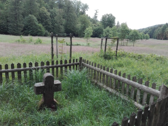 Hasenstabkreuz